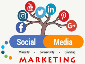 Digital Marketing Services in Vijayawada, Best Social Media Marketing Service in Vijayawada